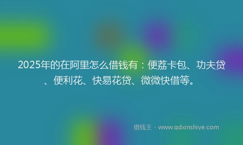 2025年的在阿里怎么借钱有：便荔卡包、功夫贷、便利花、快易花贷、微微快借等。