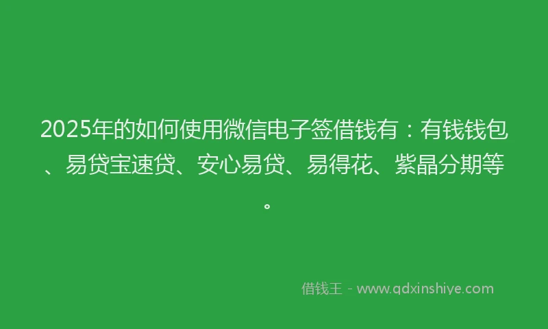 2025年的如何使用微信电子签借钱有：有钱钱包、易贷宝速贷、安心易贷、易得花、紫晶分期等。