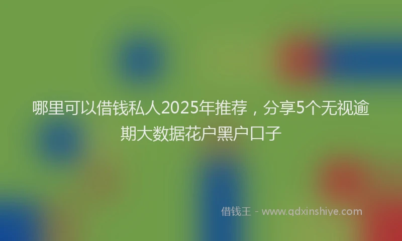 哪里可以借钱私人2025年推荐，分享5个无视逾期大数据花户黑户口子
