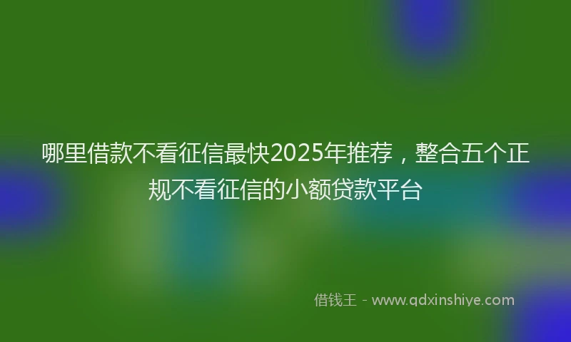 哪里借款不看征信最快2025年推荐，整合五个正规不看征信的小额贷款平台