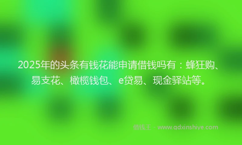 2025年的头条有钱花能申请借钱吗有：蜂狂购、易支花、橄榄钱包、e贷易、现金驿站等。