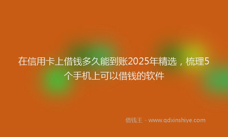在信用卡上借钱多久能到账2025年精选，梳理5个手机上可以借钱的软件