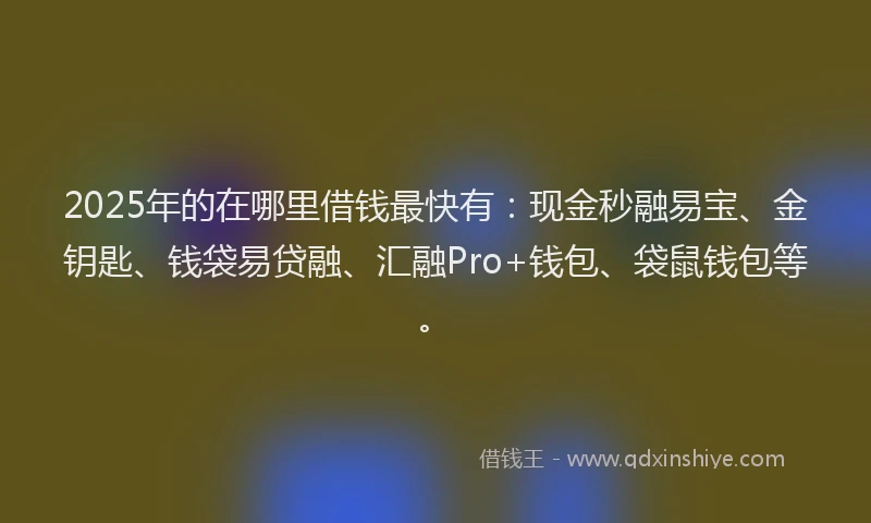 2025年的在哪里借钱最快有：现金秒融易宝、金钥匙、钱袋易贷融、汇融Pro+钱包、袋鼠钱包等。