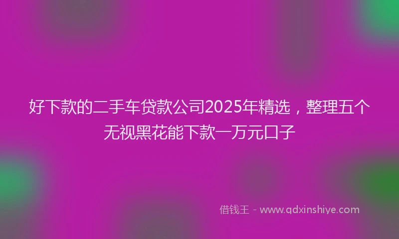 好下款的二手车贷款公司2025年精选，整理五个无视黑花能下款一万元口子