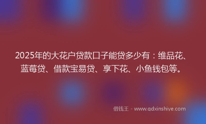 2025年的大花户贷款口子能贷多少有：维品花、蓝莓贷、借款宝易贷、享下花、小鱼钱包等。