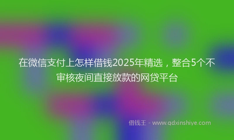 在微信支付上怎样借钱2025年精选，整合5个不审核夜间直接放款的网贷平台