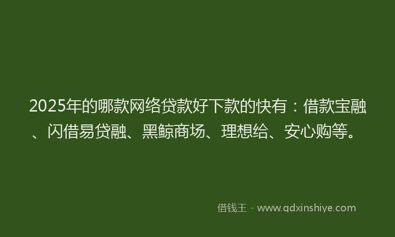 2025年的哪款网络贷款好下款的快有：借款宝融、闪借易贷融、黑鲸商场、理想给、安心购等。