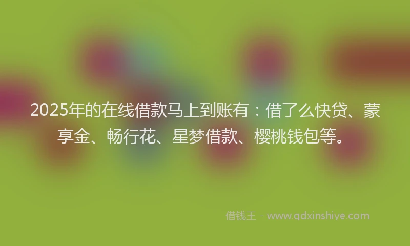 2025年的在线借款马上到账有：借了么快贷、蒙享金、畅行花、星梦借款、樱桃钱包等。