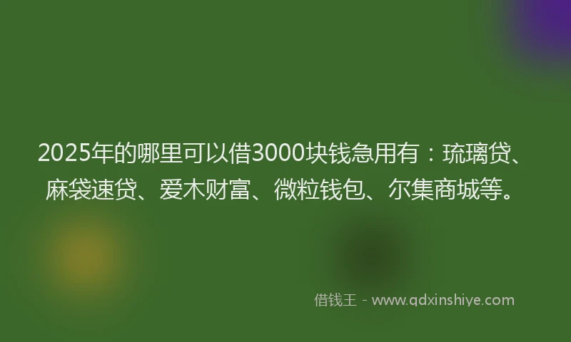2025年的哪里可以借3000块钱急用有：琉璃贷、麻袋速贷、爱木财富、微粒钱包、尔集商城等。