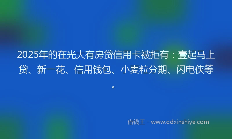 2025年的在光大有房贷信用卡被拒有：壹起马上贷、新一花、信用钱包、小麦粒分期、闪电侠等。