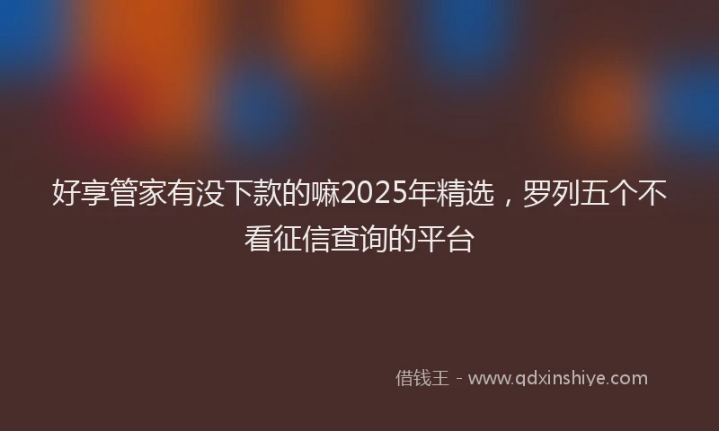 好享管家有没下款的嘛2025年精选，罗列五个不看征信查询的平台