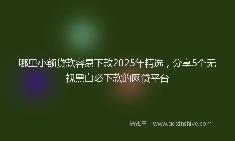 哪里小额贷款容易下款2025年精选，分享5个无视黑白必下款的网贷平台