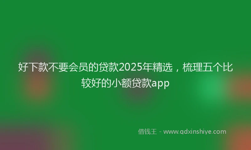 好下款不要会员的贷款2025年精选，梳理五个比较好的小额贷款app