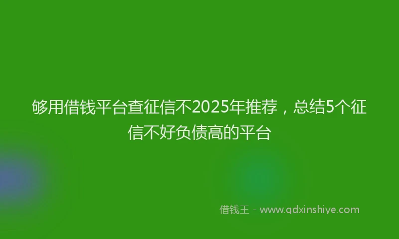 够用借钱平台查征信不2025年推荐，总结5个征信不好负债高的平台