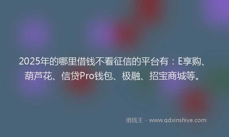2025年的哪里借钱不看征信的平台有：E享购、葫芦花、信贷Pro钱包、极融、招宝商城等。