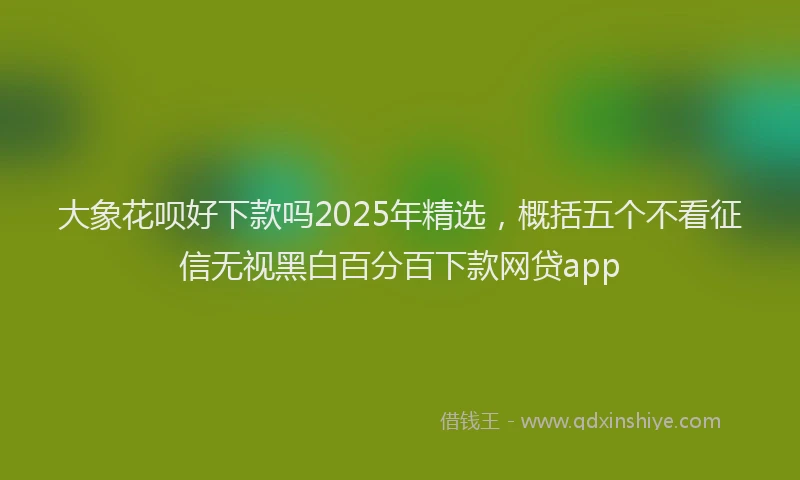 大象花呗好下款吗2025年精选，概括五个不看征信无视黑白百分百下款网贷app
