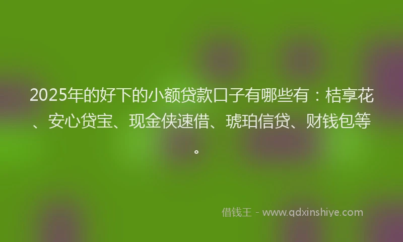 2025年的好下的小额贷款口子有哪些有：桔享花、安心贷宝、现金侠速借、琥珀信贷、财钱包等。