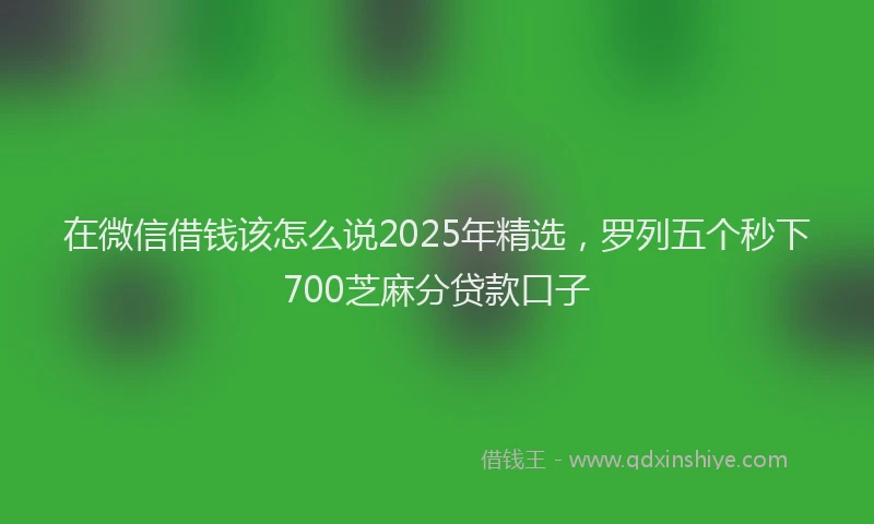 在微信借钱该怎么说2025年精选，罗列五个秒下700芝麻分贷款口子