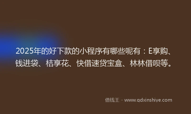 2025年的好下款的小程序有哪些呢有：E享购、钱进袋、桔享花、快借速贷宝盒、林林借呗等。