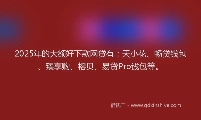 2025年的大额好下款网贷有：天小花、畅贷钱包、臻享购、榕贝、易贷Pro钱包等。