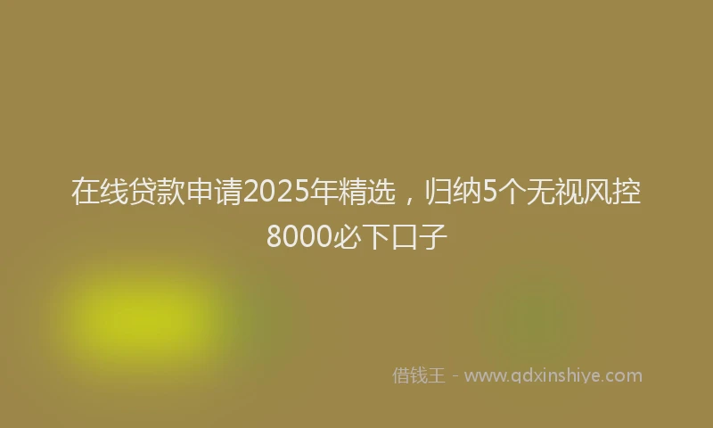 在线贷款申请2025年精选，归纳5个无视风控8000必下口子