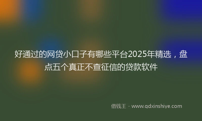 好通过的网贷小口子有哪些平台2025年精选，盘点五个真正不查征信的贷款软件