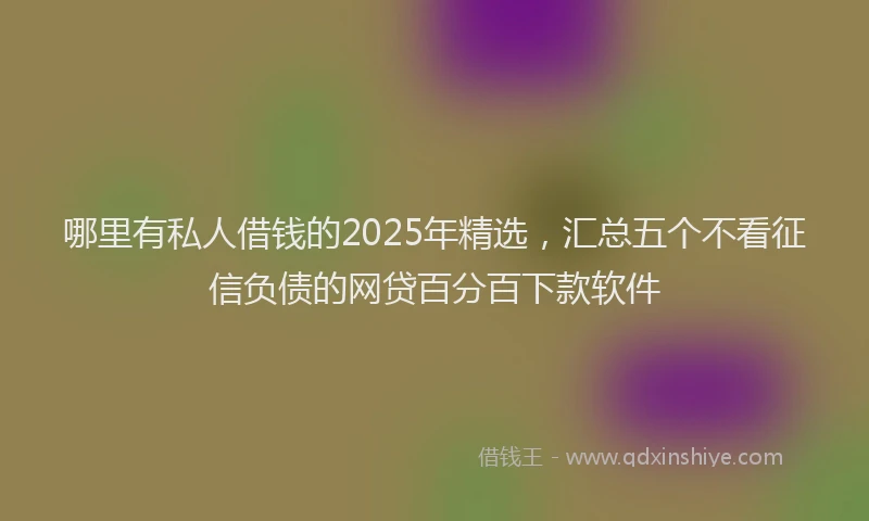 哪里有私人借钱的2025年精选，汇总五个不看征信负债的网贷百分百下款软件