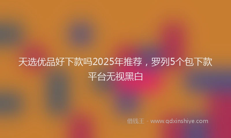 天选优品好下款吗2025年推荐，罗列5个包下款平台无视黑白