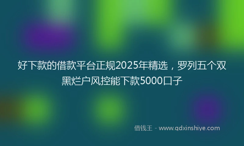 好下款的借款平台正规2025年精选，罗列五个双黑烂户风控能下款5000口子