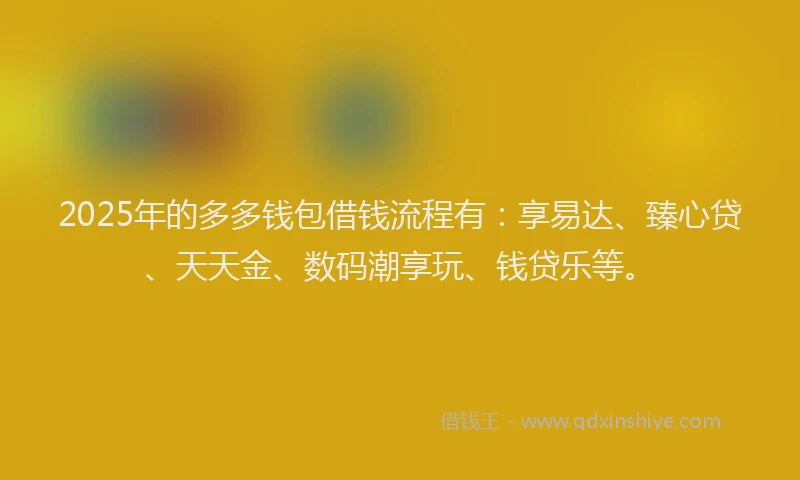 2025年的多多钱包借钱流程有：享易达、臻心贷、天天金、数码潮享玩、钱贷乐等。