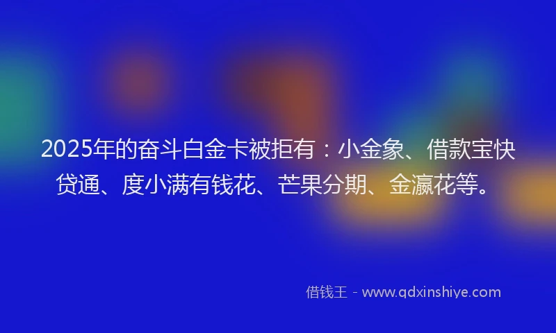 2025年的奋斗白金卡被拒有：小金象、借款宝快贷通、度小满有钱花、芒果分期、金瀛花等。