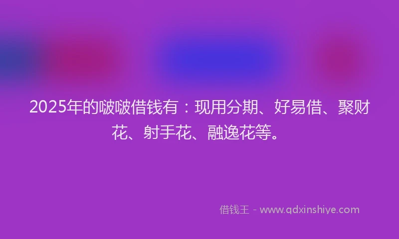 2025年的啵啵借钱有：现用分期、好易借、聚财花、射手花、融逸花等。