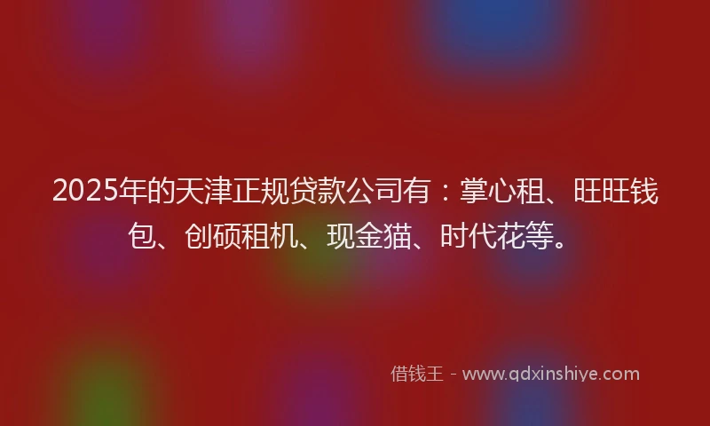 2025年的天津正规贷款公司有：掌心租、旺旺钱包、创硕租机、现金猫、时代花等。