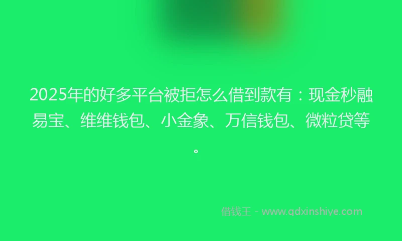 2025年的好多平台被拒怎么借到款有：现金秒融易宝、维维钱包、小金象、万信钱包、微粒贷等。