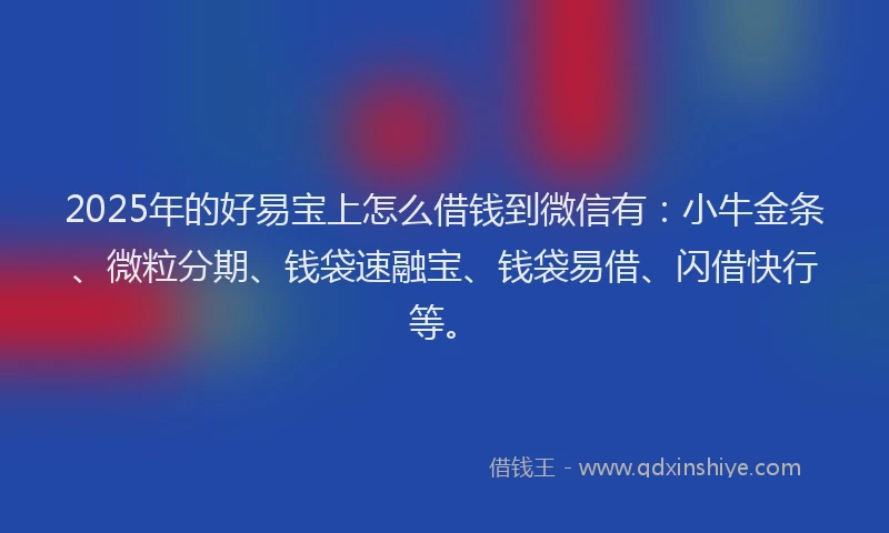 2025年的好易宝上怎么借钱到微信有：小牛金条、微粒分期、钱袋速融宝、钱袋易借、闪借快行等。
