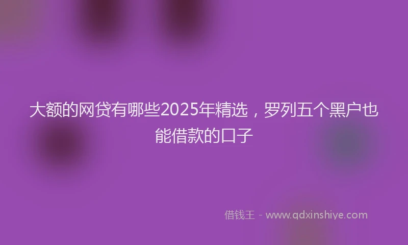 大额的网贷有哪些2025年精选，罗列五个黑户也能借款的口子