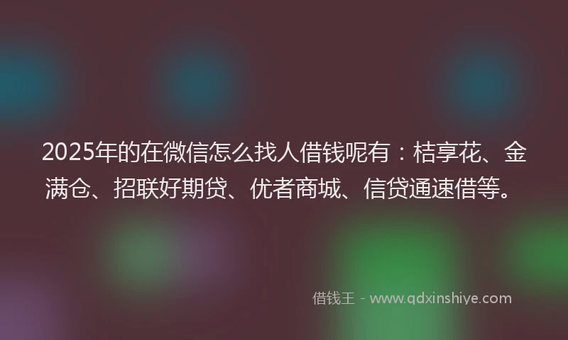 2025年的在微信怎么找人借钱呢有：桔享花、金满仓、招联好期贷、优者商城、信贷通速借等。