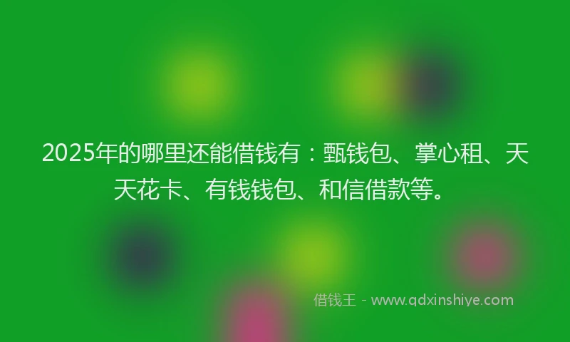 2025年的哪里还能借钱有：甄钱包、掌心租、天天花卡、有钱钱包、和信借款等。