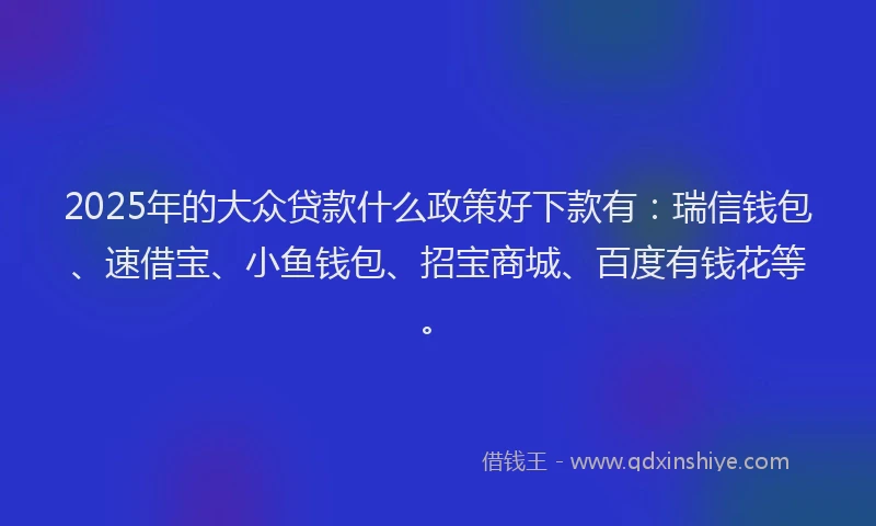 2025年的大众贷款什么政策好下款有：瑞信钱包、速借宝、小鱼钱包、招宝商城、百度有钱花等。