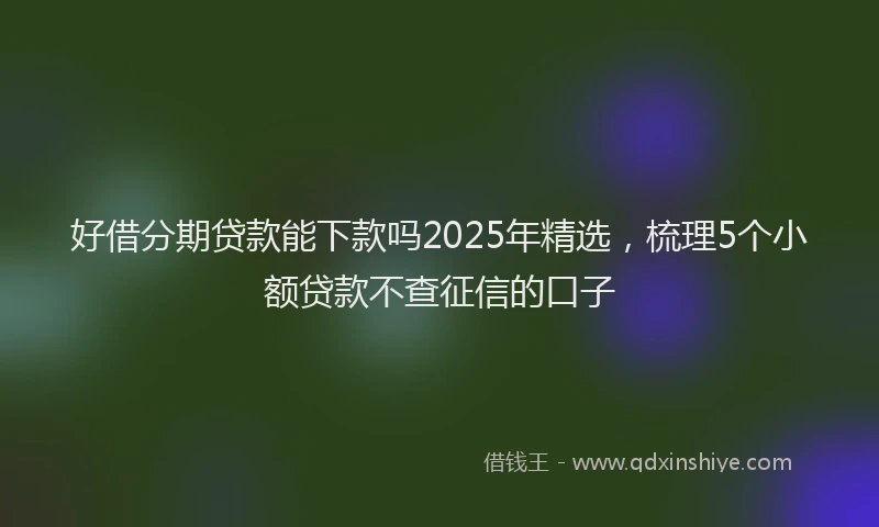 好借分期贷款能下款吗2025年精选，梳理5个小额贷款不查征信的口子