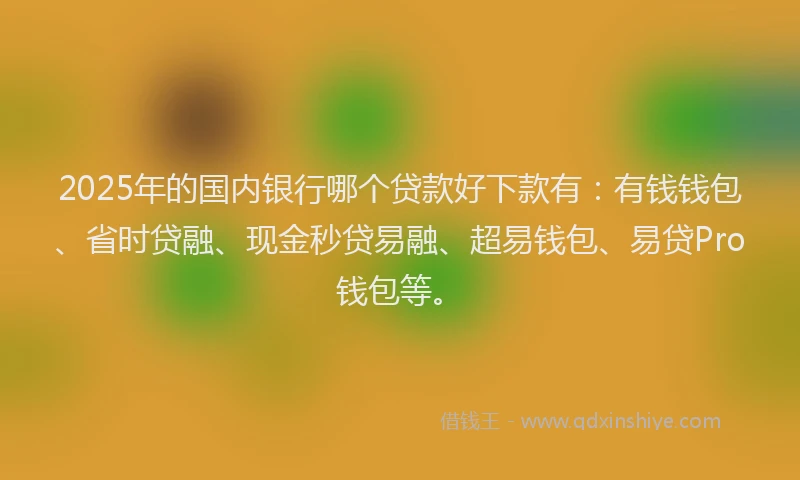 2025年的国内银行哪个贷款好下款有：有钱钱包、省时贷融、现金秒贷易融、超易钱包、易贷Pro钱包等。