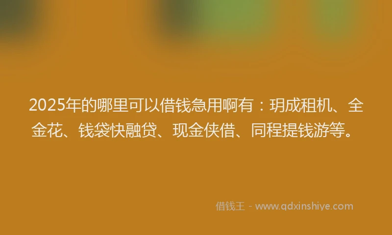 2025年的哪里可以借钱急用啊有：玥成租机、全金花、钱袋快融贷、现金侠借、同程提钱游等。