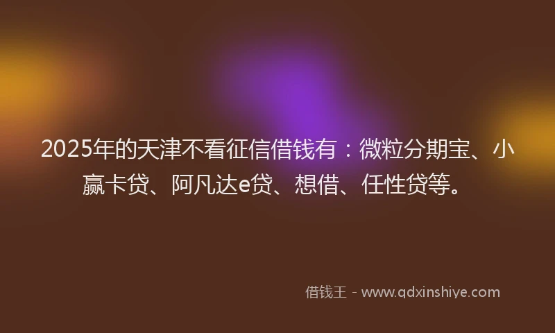 2025年的天津不看征信借钱有：微粒分期宝、小赢卡贷、阿凡达e贷、想借、任性贷等。