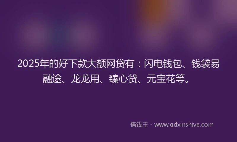 2025年的好下款大额网贷有：闪电钱包、钱袋易融途、龙龙用、臻心贷、元宝花等。
