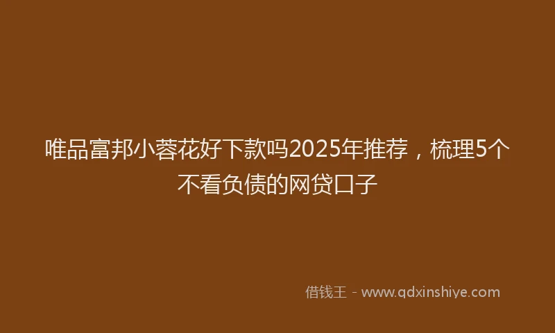 唯品富邦小蓉花好下款吗2025年推荐，梳理5个不看负债的网贷口子