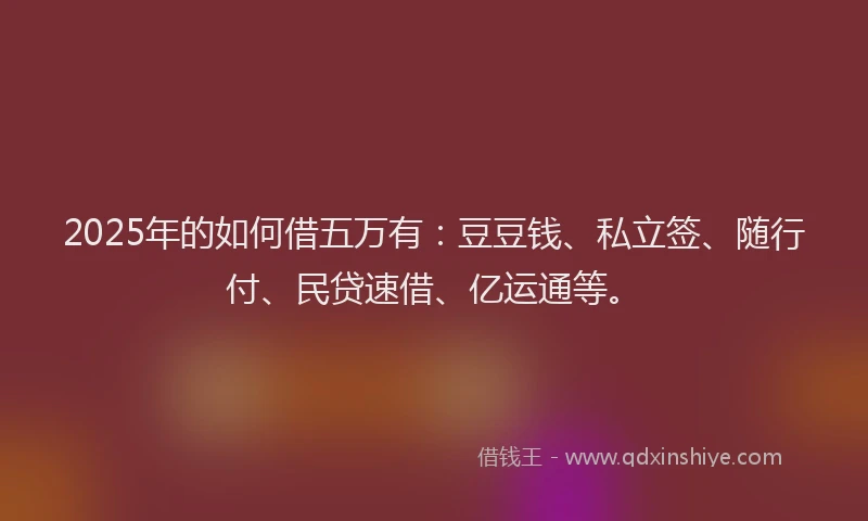 2025年的如何借五万有：豆豆钱、私立签、随行付、民贷速借、亿运通等。