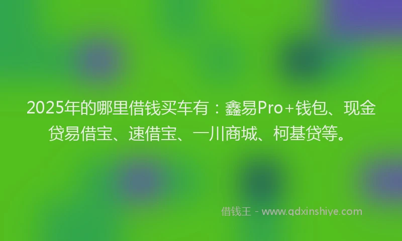 2025年的哪里借钱买车有：鑫易Pro+钱包、现金贷易借宝、速借宝、一川商城、柯基贷等。