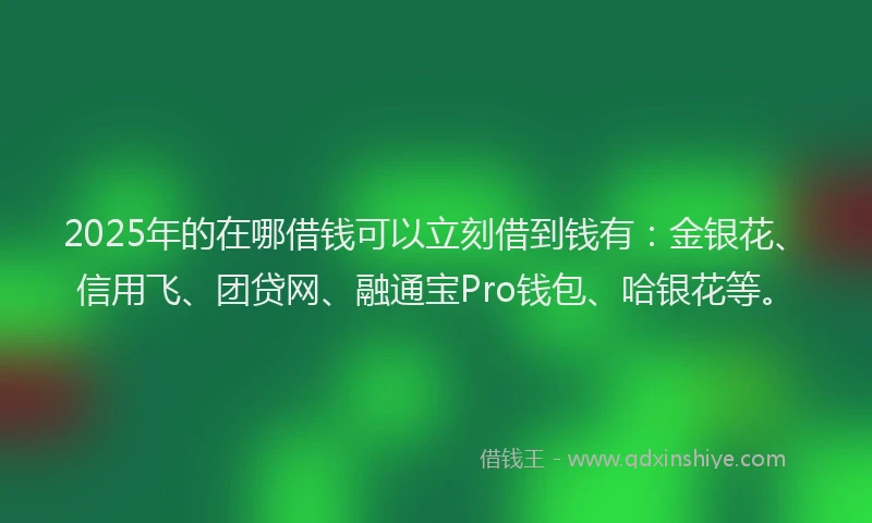 2025年的在哪借钱可以立刻借到钱有：金银花、信用飞、团贷网、融通宝Pro钱包、哈银花等。