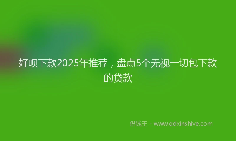 好呗下款2025年推荐，盘点5个无视一切包下款的贷款