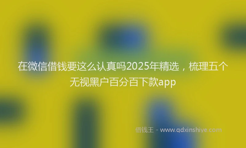 在微信借钱要这么认真吗2025年精选，梳理五个无视黑户百分百下款app